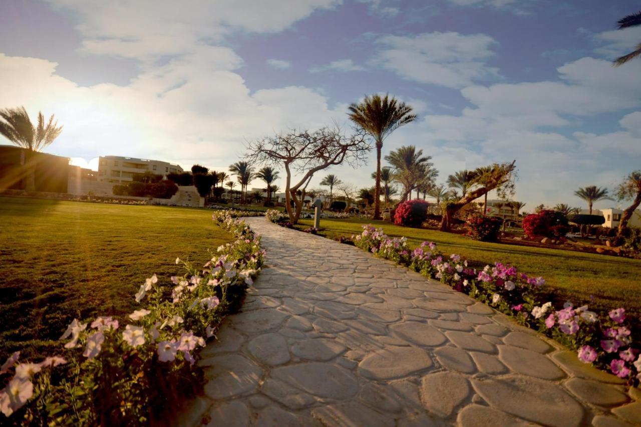 Aurora Oriental Resort Sharm El Sheikh Exterior foto The campus of the University of Hail