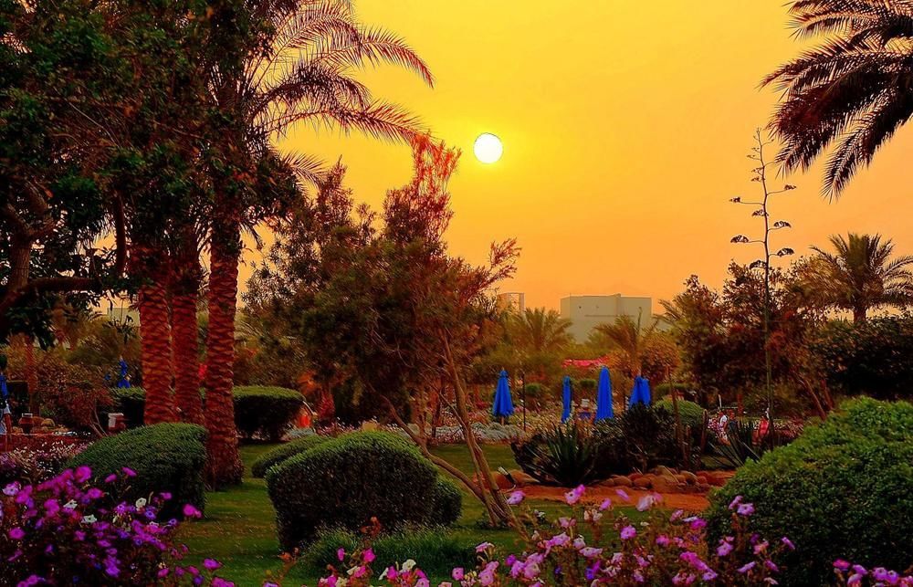 Aurora Oriental Resort Sharm El Sheikh Exterior foto Al-Qatif